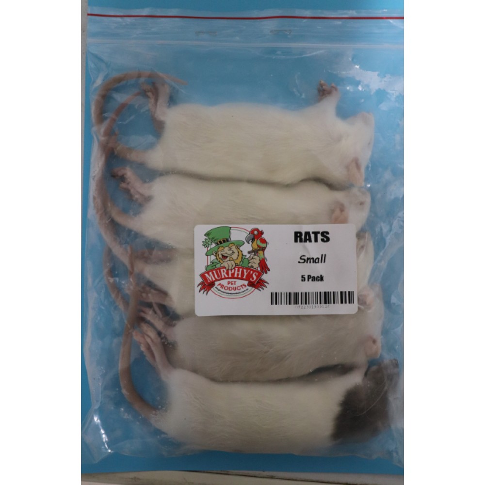 frozen-rats